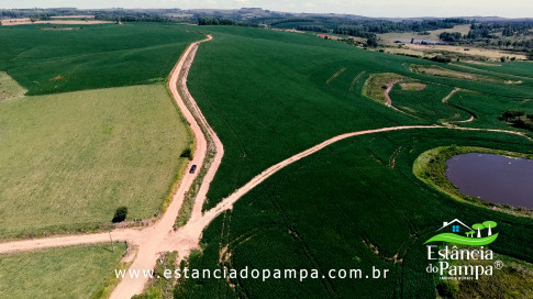 INICIO 3.00_01_38_29.Quadro014_83fd94e1033a69c06094d7f99cae4ebf9778b954.jpg